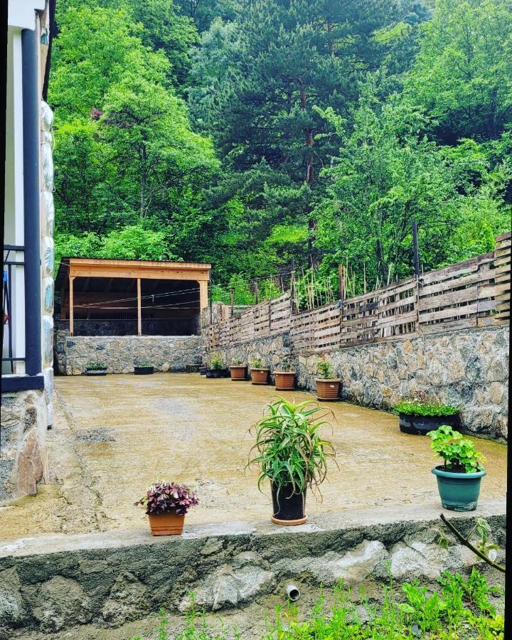 Family Hotel Mountain Panorama Borjomi Dış mekan fotoğraf