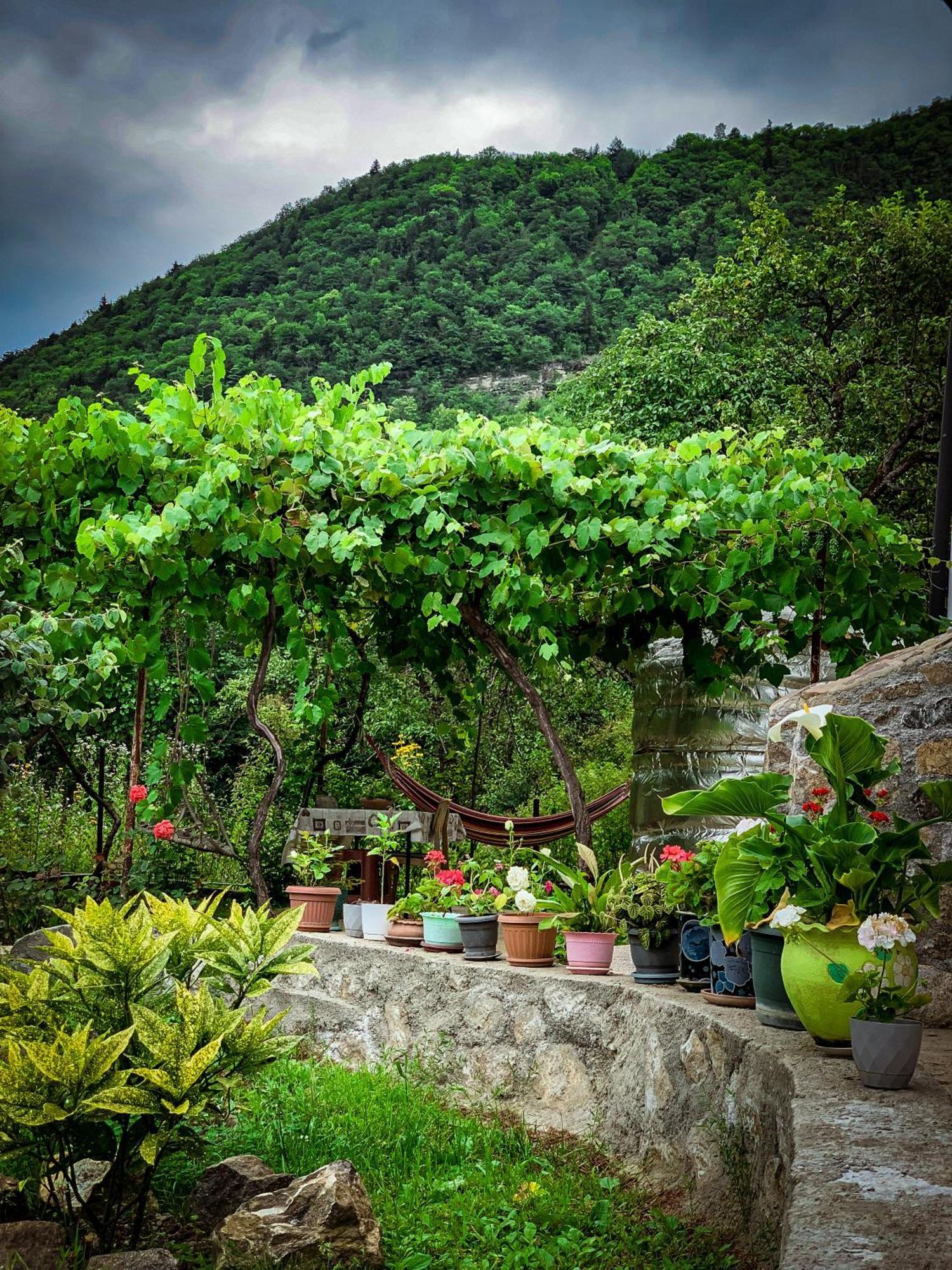 Family Hotel Mountain Panorama Borjomi Dış mekan fotoğraf